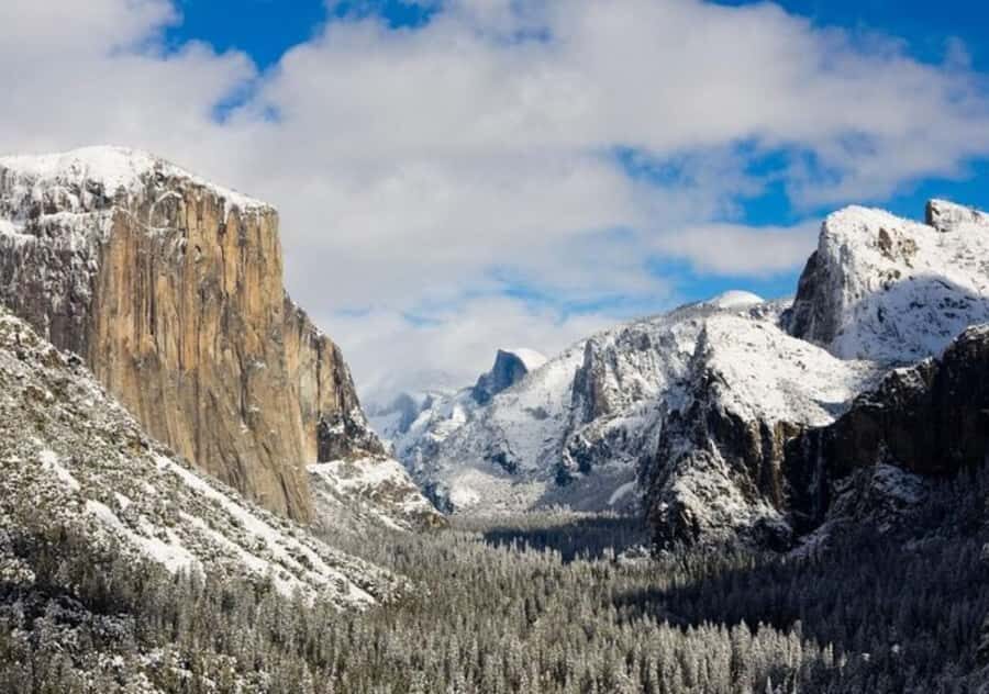 From San Jose:Enchanted Full Day Yosemite National Park Tour - Your free time in Yosemite: walk or bike, but choose a simple plan