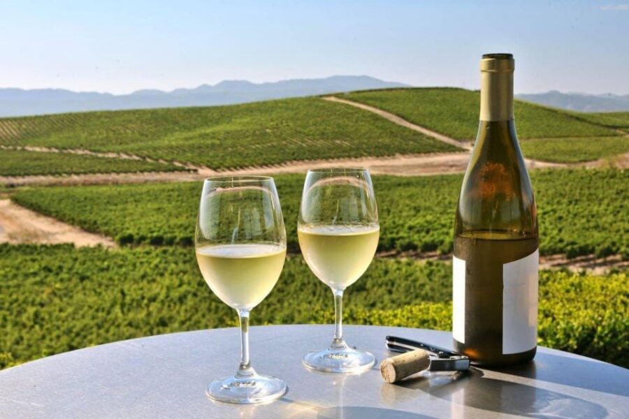 From SFO - Enchanted Napa & Sonoma Wine Tour in SUV - SUV comfort and the Golden Gate Bridge photo stop