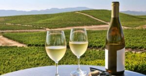 From SFO - Enchanted Napa & Sonoma Wine Tour in SUV - Madonna Estate Winery: guided tour plus a proper first tasting