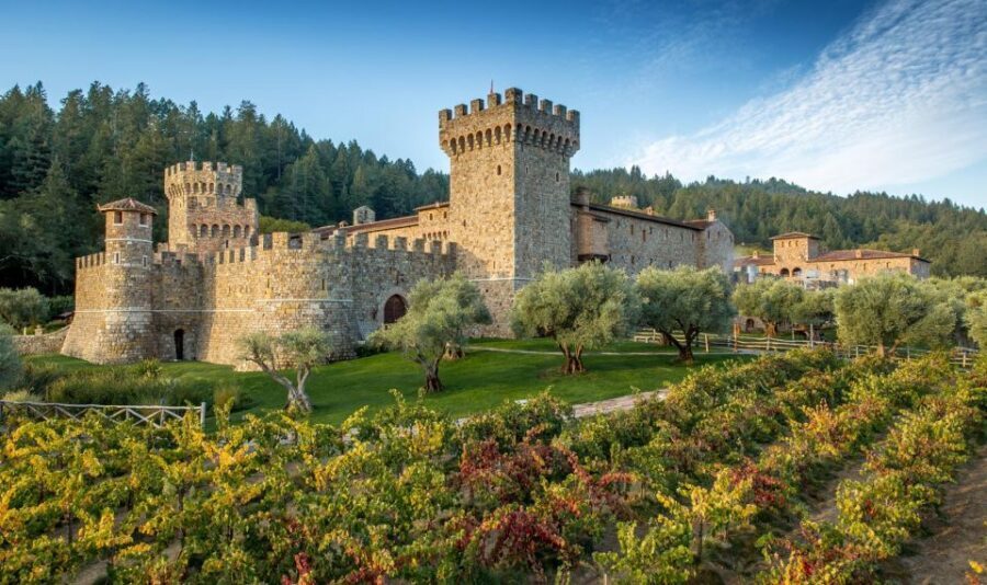From SFO - Enchanted Napa & Sonoma Wine Tour in SUV - Sonoma County time: Sonoma Square, street food, market vibes