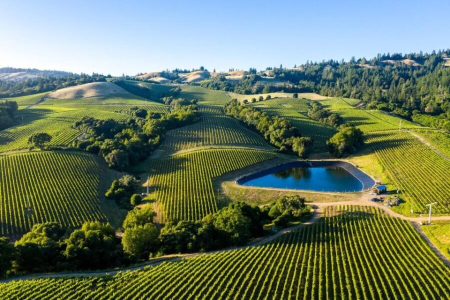 From SFO - Enchanted Napa & Sonoma Wine Tour in SUV - Group size and the pacing reality (private or small groups)