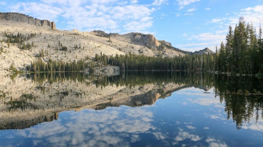 From SFO-Yosemite National Park-Enchanting Full Day Tour - Oakdale Stretch Stop: Tea, Snacks, and a Quick Reset Before Yosemite