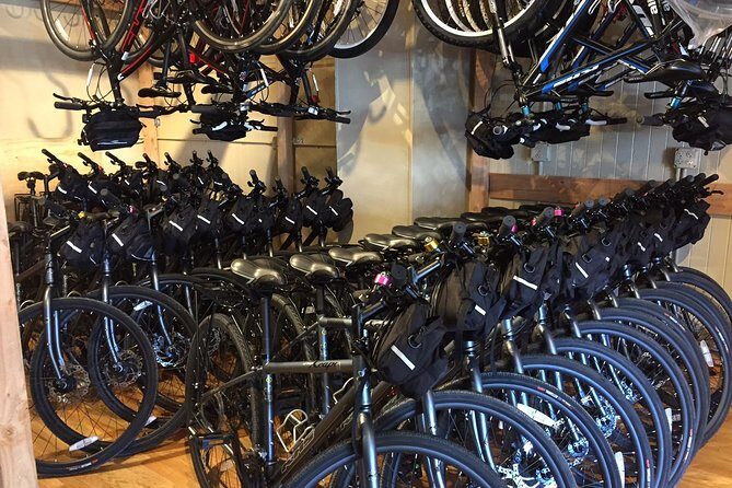 Golden Gate Bridge Electric Bike Rentals (E-Bike Rentals All day) - What to Expect From the Ride Experience (No Tour Guide, All Control)