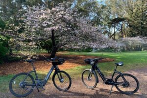 Golden Gate Park Electric Bike Rental - Golden Gate Park by e-bike: spending your 2–8 hours wisely