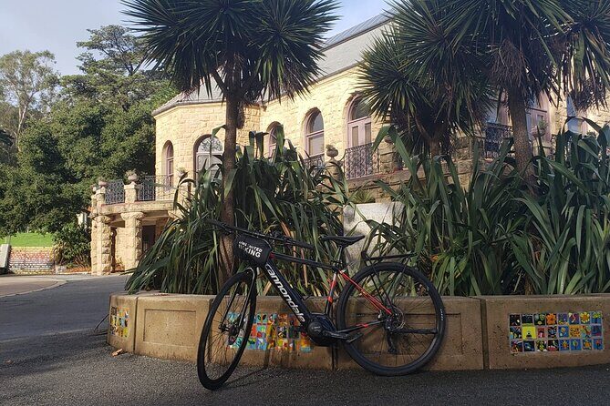Golden Gate Park Electric Bike Rental - Who this rental suits best (and who might not love it)