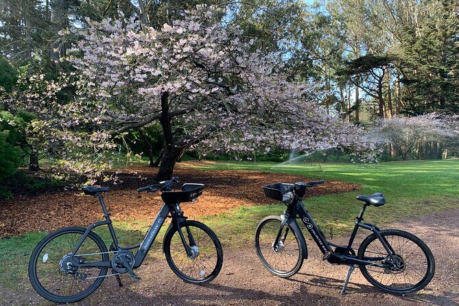 Golden Gate Park Electric Bike Rental - Golden Gate Park by e-bike: spending your 2–8 hours wisely