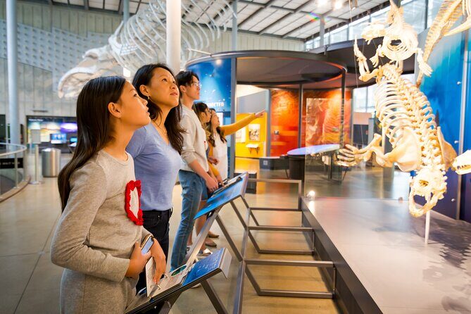 Golden Gate Park Tour With California Academy of Sciences Ticket - Using Your Included Ticket: Academy of Sciences Highlights That Fit a Short Day