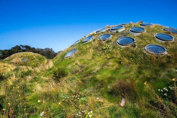 Golden Gate Park Tour With California Academy of Sciences Ticket - VIP Academy Upgrade: Gem Vault, Living Roof Access, and Reserved Planetarium Seats