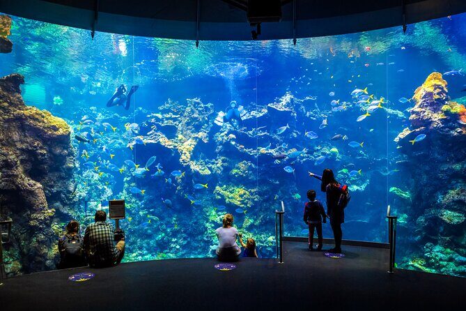 Golden Gate Park Tour With California Academy of Sciences Ticket - What to Wear, When to Go, and How to Get Good Photos