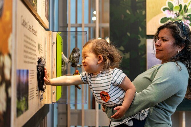 Golden Gate Park Tour With California Academy of Sciences Ticket - Price and Value: What $70 Buys You (and When It’s a Smart Deal)