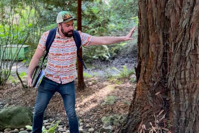 Golden Gate Park's Hidden Gems, Highlights and History - Included value: why this $25 feels like more than a simple walk