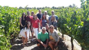 Guided Private Wine Tour to Napa and Sonoma Wine Country - Picking Up Where You Are: Van, Timing, and Comfort