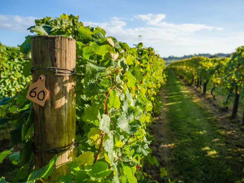 Guided Private Wine Tour to Napa and Sonoma Wine Country - Price and Value: What $1,095 Really Buys
