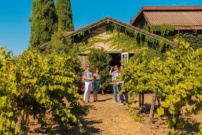 Half-Day Wine Tour Plus Hop-On Hop-Off Bus Pass - The hop-on hop-off bus pass: 20 stops, your schedule, your rhythm