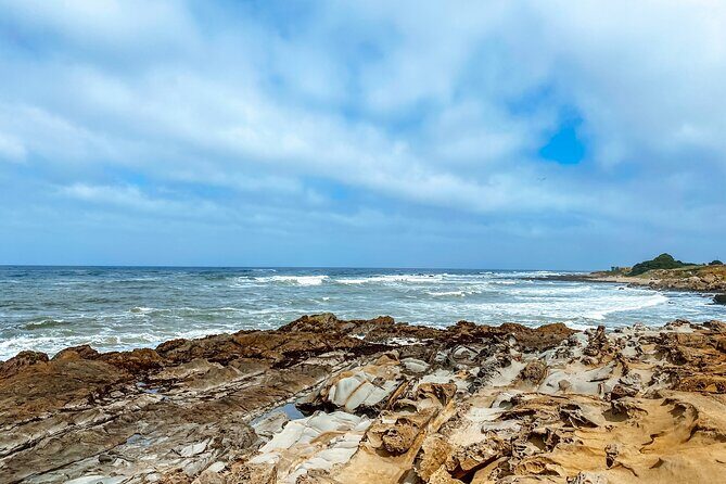Highway 1 Pacific Coast Highway Self-Guided Driving Tour Bundle - From Pigeon Point to Davenport: lighthouses, redwoods, seals, and pocket-beach solitude