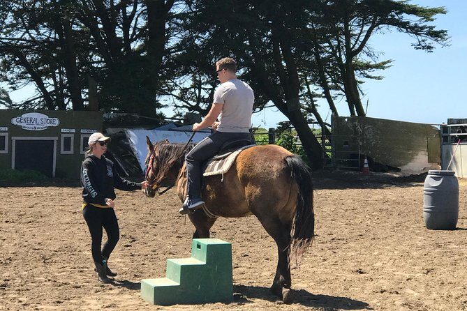 Horseback Ride & Alcatraz Prison Tickets - On Alcatraz Island: The Self-Guided Audio Tour Works Well
