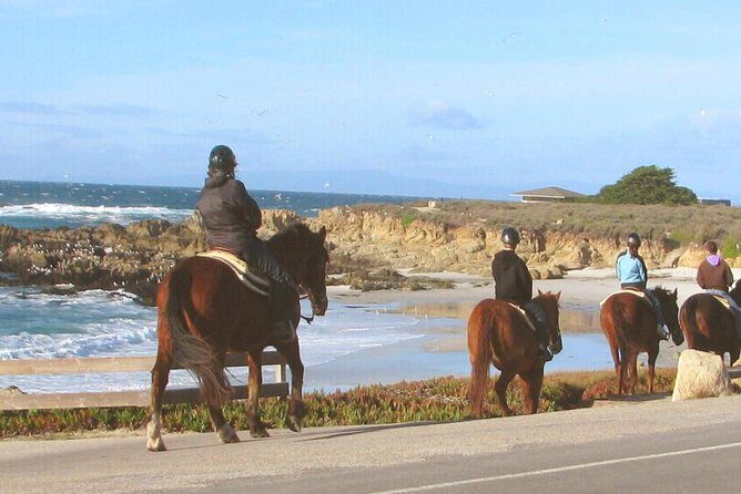 Horseback Ride & Alcatraz Prison Tickets - Price and Value: What $925 Per Person Buys You