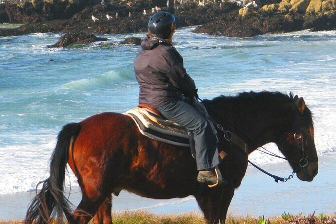 Horseback Ride & Alcatraz Prison Tickets - The Ride Near Half Moon Bay: Beach or Forest Time