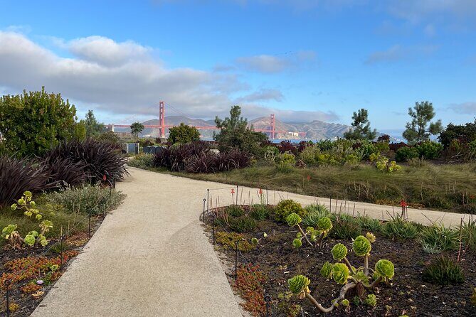 Iconic San Francisco Urban Hiking Tour - Key Highlights to Know Before You Go