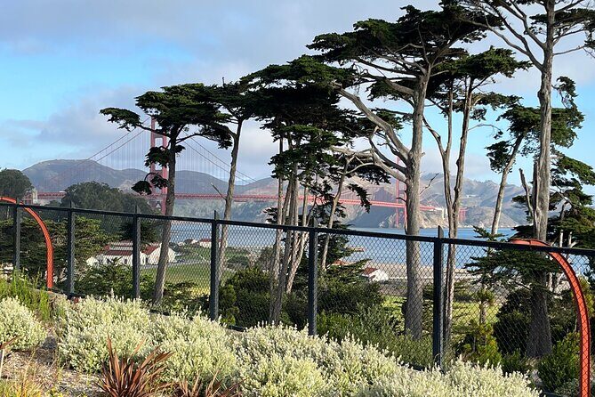 Iconic San Francisco Urban Hiking Tour - Presidio Side Trails and Viewpoints: The City Gets Quieter