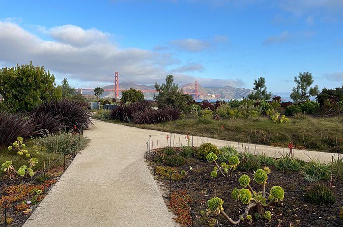 Iconic San Francisco Urban Hiking Tour - Wealthy Merchant Homes and the Music-First Story Behind San Francisco Arts