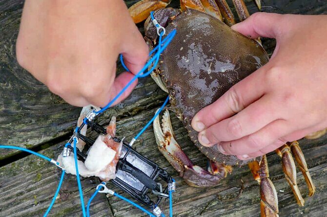 Learn to Catch and Cook Crab under Golden Gate Bridge SF - Your 3.5-Hour Game Plan at Torpedo Wharf