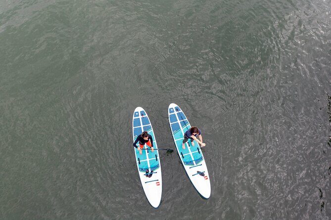 Learn to Paddle Board on the San Francisco Bay! - What the Guides Actually Do (And Why It Matters)