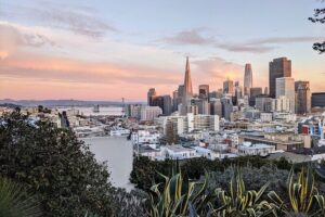 Local Flavors: An Insider's Tour of San Francisco's Hidden Gems - Chinatown’s mix of survival, shopping, and culture