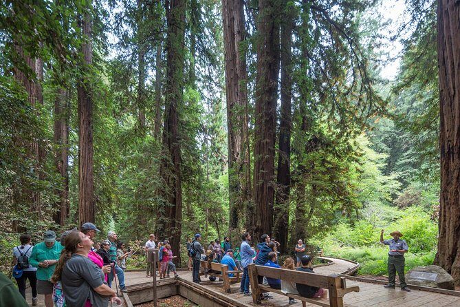 Mix & Save: Muir Woods and Sausalito + Escape From the Rock Cruise - Sausalito on your own: Mediterranean-style village time