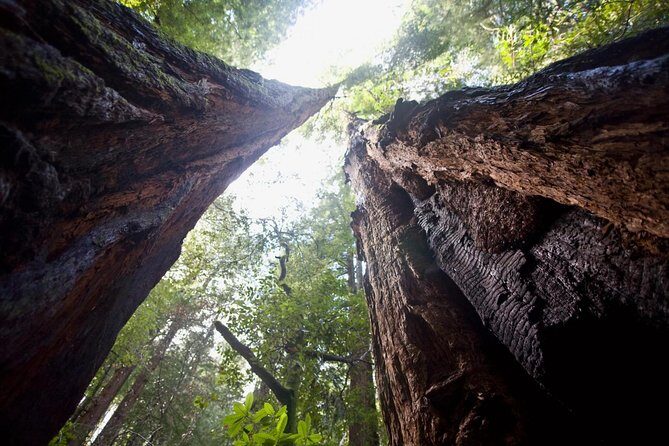 Mix & Save: Muir Woods and Sausalito + Escape From the Rock Cruise - Value check: is $140 worth it for this mix?