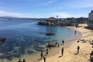Monterey, Carmel and 17-Mile Drive: Full Day Tour from SF - Pigeon Point Light Station: tallest lighthouse vibes with a short beach chance