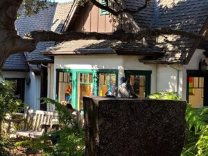 Monterey, Carmel and Big Sur private Day Trip from San Francisco - Stop 1: Pacific Grove Oceanview Boulevard and the Coast’s Quick Welcome