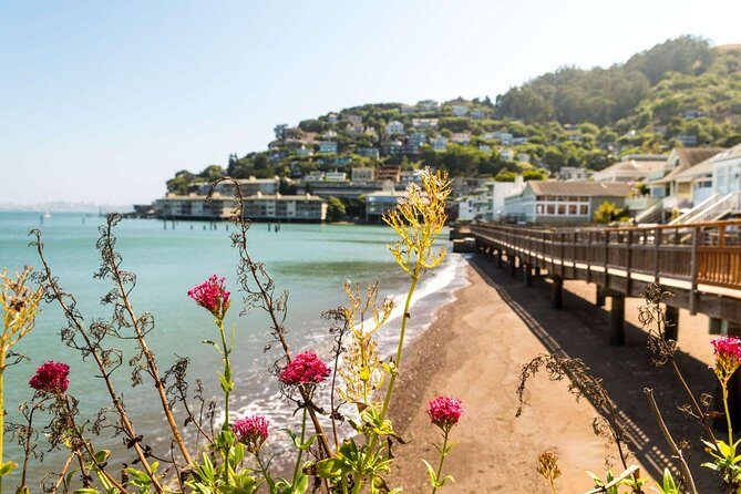 Muir Woods and Sausalito + Ferry, Alcatraz Night Tour & Aquarium Access - Sausalito Walk Time: Waterfront Views and Lunch You Choose