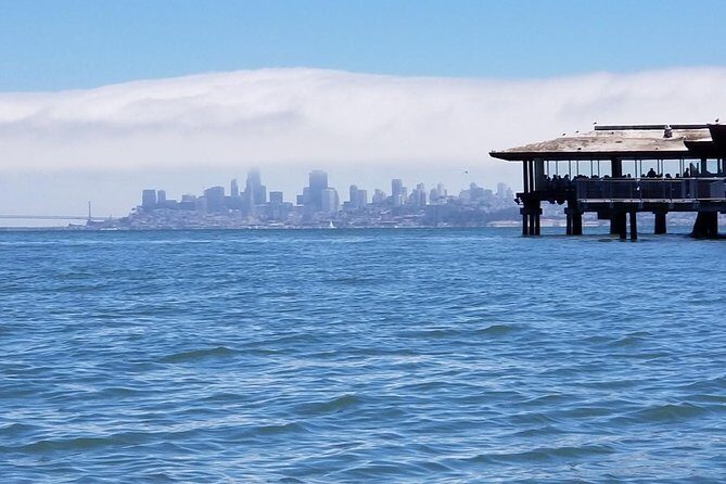 Muir Woods and Sausalito Morning Tour Small-Group Half Day - Sausalito waterfront: pretty views, short window, and real lunch potential