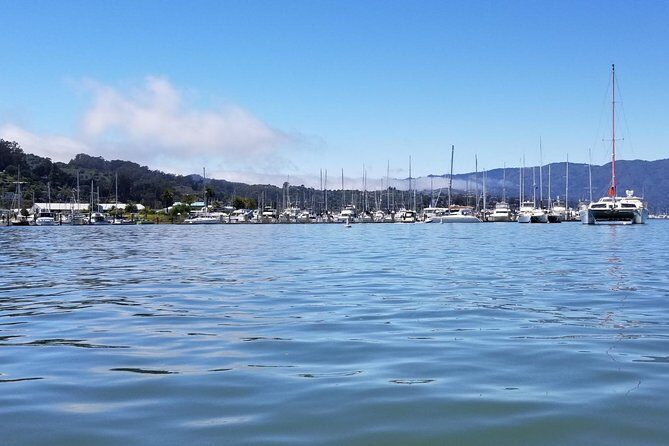 Muir Woods and Sausalito Morning Tour Small-Group Half Day - Who should book, and who might want a different plan