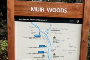 Muir Woods and Sausalito Private Tour - Private Pickup and a 5-Hour Rhythm That Actually Works