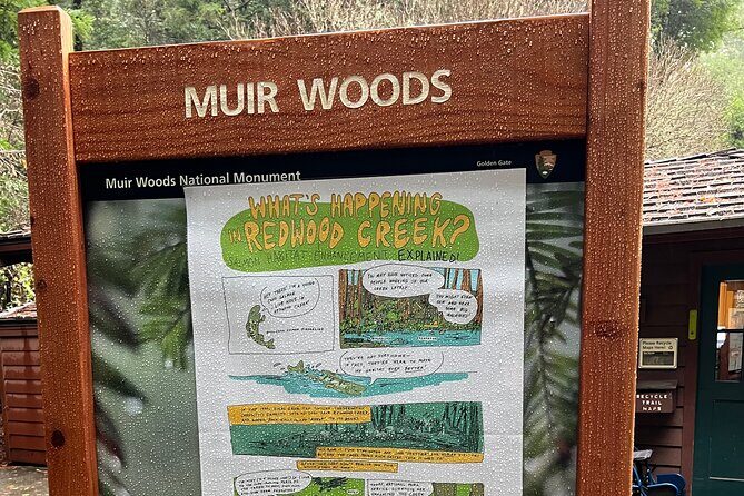 Muir Woods and Sausalito Private Tour - Sausalito Boardwalk: Waterfront Views, Houseboats, and a Quick Local Stroll