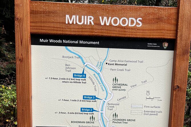 Muir Woods and Sausalito Private Tour - Private Pickup and a 5-Hour Rhythm That Actually Works