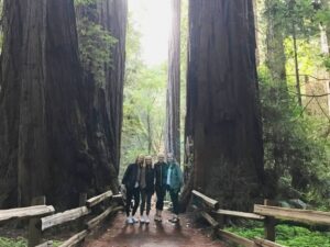 Muir Woods, Golden Gate Bridge & Sausalito Private Tour 3+hr - Getting on the Jeep at 2870 Hyde St (no, it’s not the hotel door)