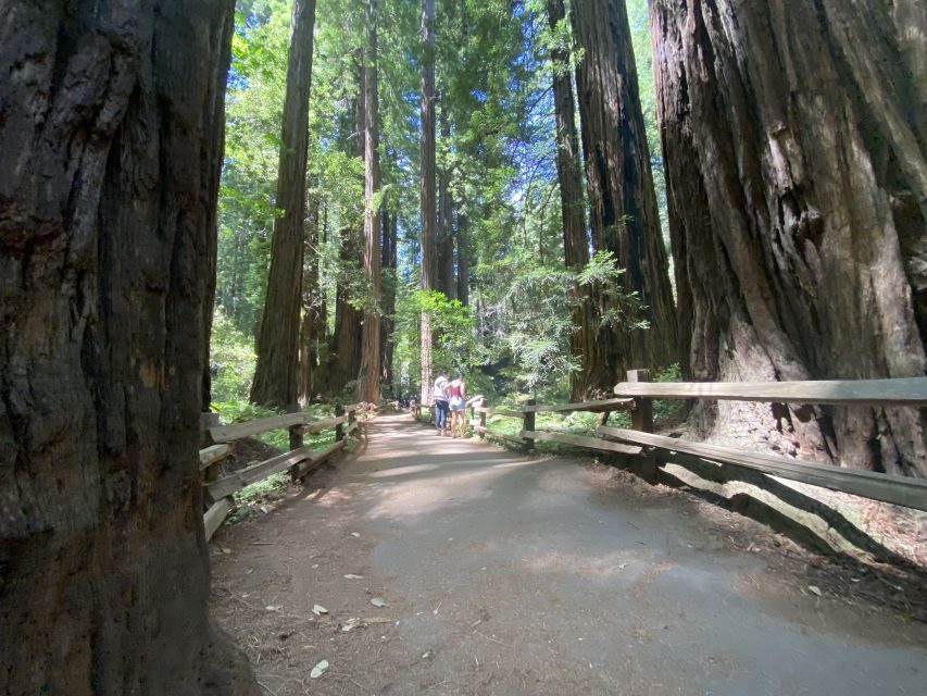 Muir Woods, Golden Gate Bridge & Sausalito Private Tour 3+hr - Golden Gate Bridge photo stops that actually help your pictures