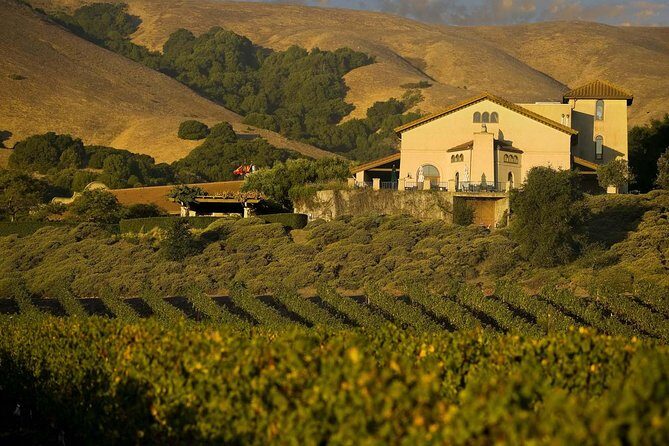 Muir Woods & Napa-8hr-Private Scenic Wine Tour From San Francisco - How this 8-hour private day runs from San Francisco