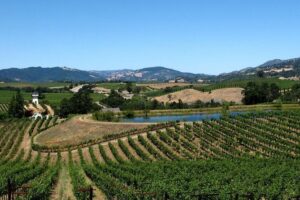 Muir Woods & Napa-8hr-Private Scenic Wine Tour From San Francisco - Golden Gate North End at Fort Baker: the sparkling-wine photo stop