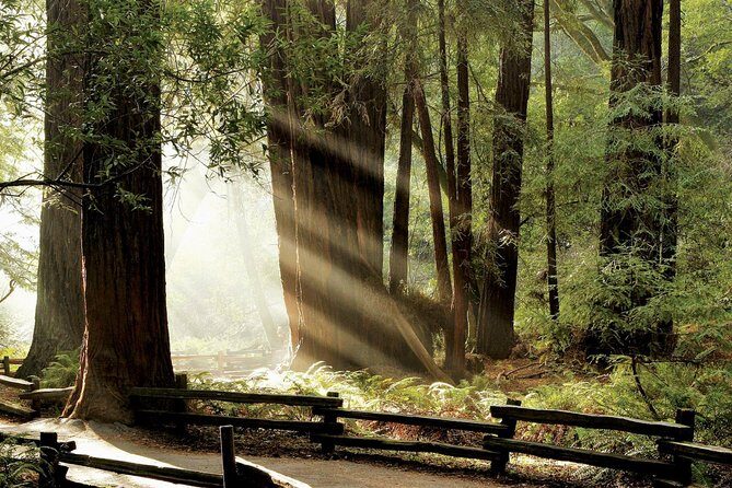 Muir Woods & Napa-8hr-Private Scenic Wine Tour From San Francisco - John Muir National Historic Site / Redwood Park: what the included hour gives you