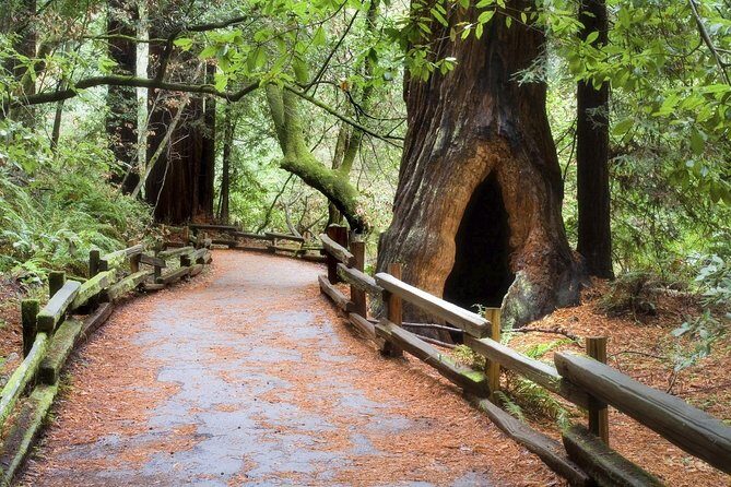 Muir Woods & Napa-8hr-Private Scenic Wine Tour From San Francisco - Price and value: what $799 really covers