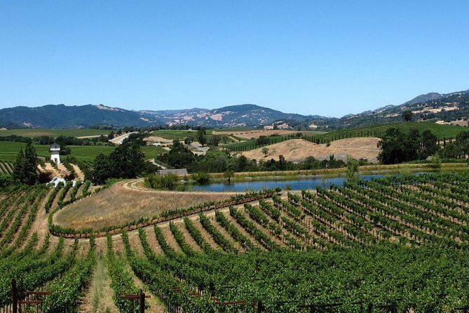 Muir Woods & Napa-8hr-Private Scenic Wine Tour From San Francisco - Golden Gate North End at Fort Baker: the sparkling-wine photo stop