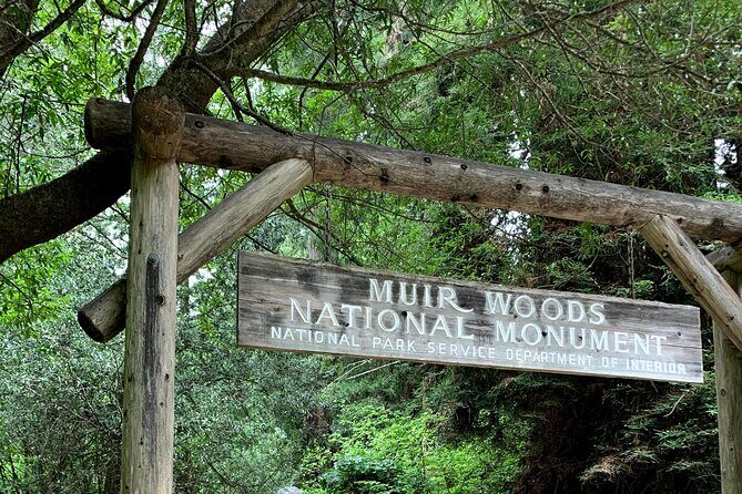Muir Woods, Sausalito and Golden Gate Bridge - Key Highlights You’ll Want to Know