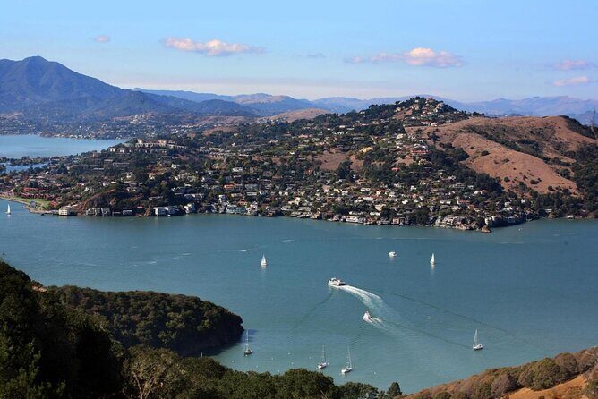 Muir Woods, Sausalito and Tiburon Day Trip from San Francisco - Price and value: $453.34 per group (up to 4) and what’s not included