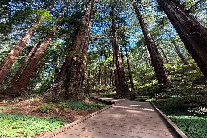 Muir Woods, Sausalito, Battery Spencer Premium Small-Group Tour - Key things to know before you go