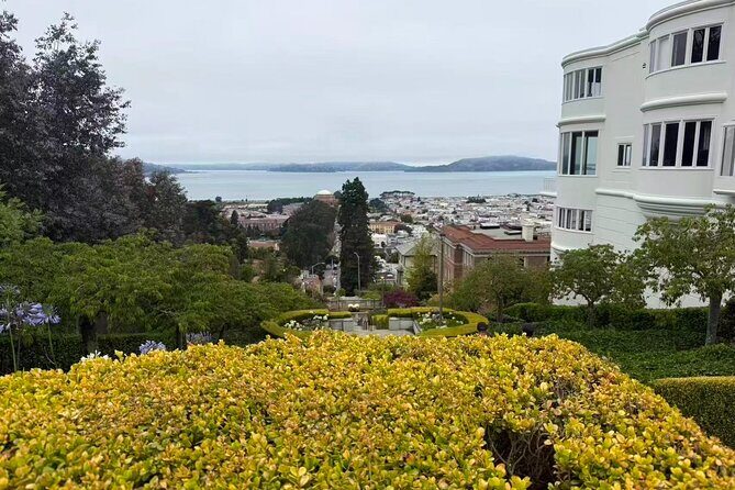 Muir Woods, Sausalito, Battery Spencer Premium Small-Group Tour - Price and value: what $89 is really covering
