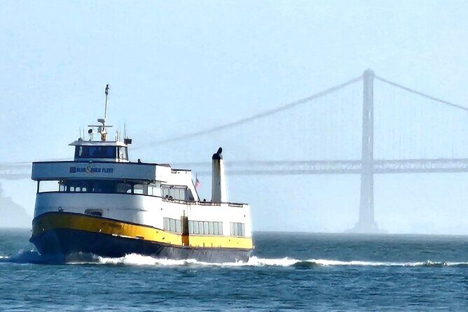 Muir Woods Sausalito Entry & Ferry to Fishermans Wharf included - Key Things to Know Before You Go
